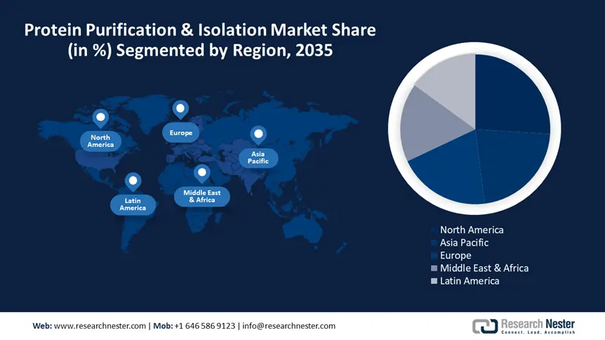 Protein Purification & Isolation Market size